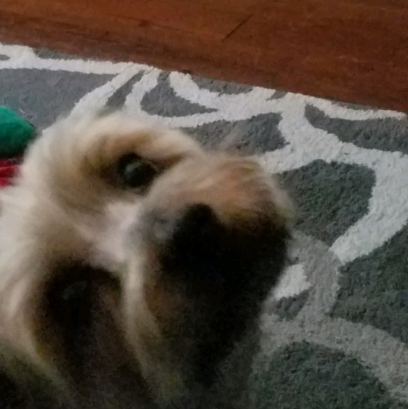 Meet your Posher, Karen - Picture 1 of 1